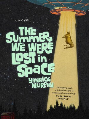 cover image of The Summer We Were Lost in Space